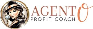 Amethyst Sponsor Agent O Business Consulting